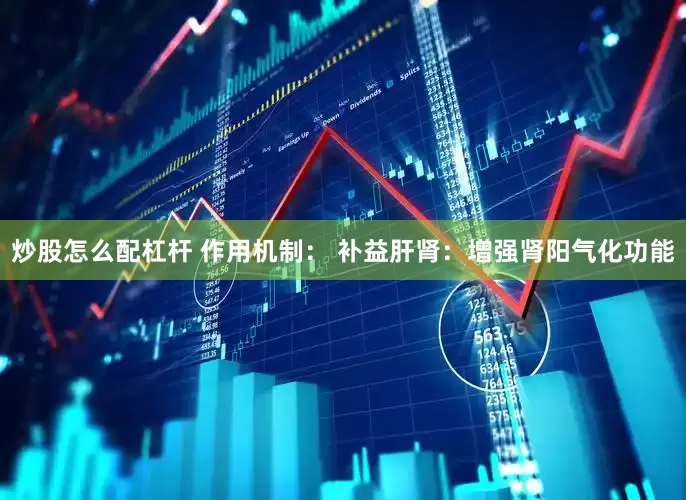 炒股怎么配杠杆 作用机制： 补益肝肾：增强肾阳气化功能