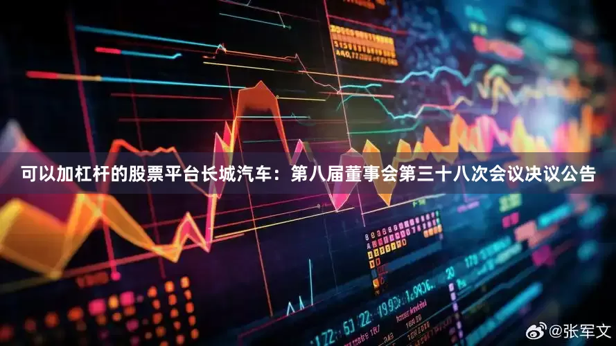 可以加杠杆的股票平台长城汽车：第八届董事会第三十八次会议决议公告