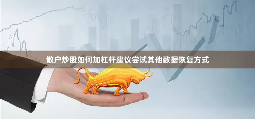 散户炒股如何加杠杆建议尝试其他数据恢复方式