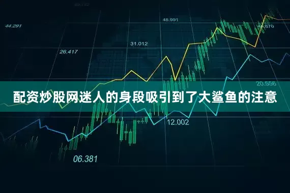 配资炒股网迷人的身段吸引到了大鲨鱼的注意