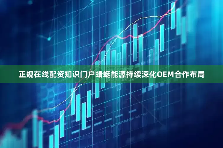 正规在线配资知识门户　　蜻蜓能源持续深化OEM合作布局